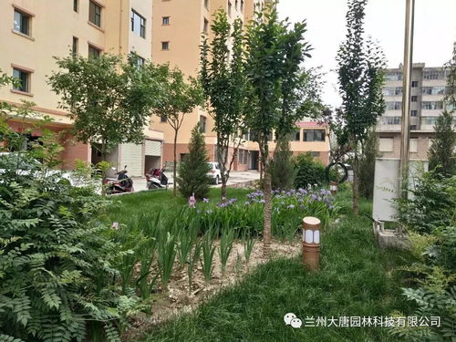 臨洮怡康苑住宅小區園林景觀綠化工程